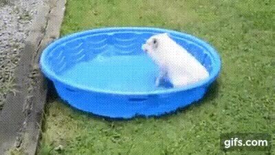 Enlace a Ya estoy deseando que sea verano para hacer lo mismo