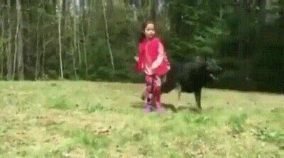 Enlace a Un perro protegiendo a su humana