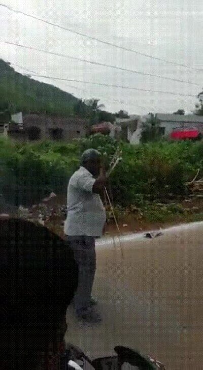 Enlace a Celebrando pero no mucho