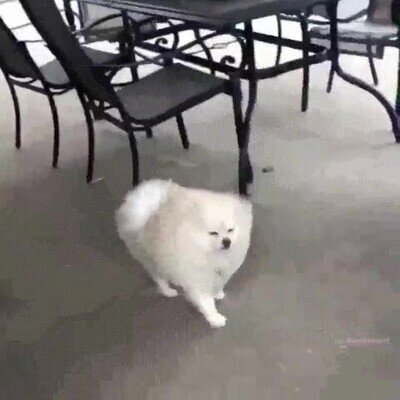 Enlace a Ahora entiendo lo que sentía Kirby