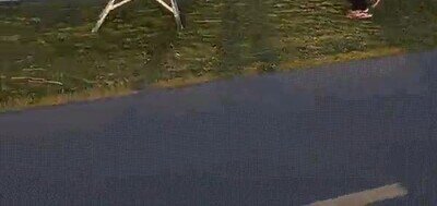 Enlace a Un abrazador de árboles profesional