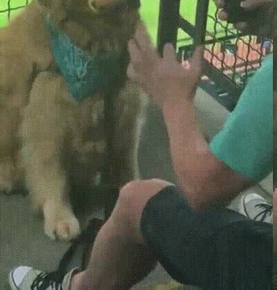 Enlace a Le encanta posar para las fotos