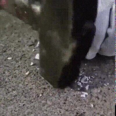 Enlace a Los cristales de los coches son super frágiles