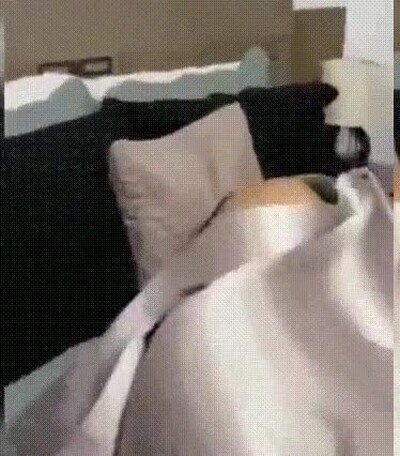 Enlace a Cuando vuelves pronto de la oficina a casa