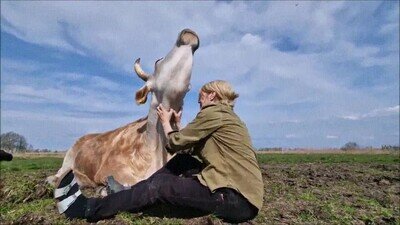 Enlace a Dame mimos y tendrás un amigo para toda la vida