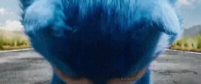 sonic,gato