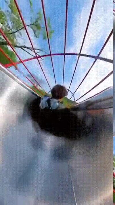 Enlace a Se tira por un tobogán y sale mal