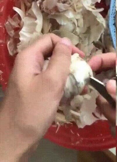 Enlace a Nunca volverás a pelar ajo de la misma forma