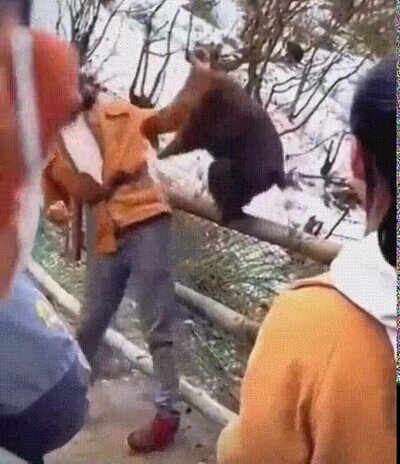 Enlace a Por fin alguien les planta cara