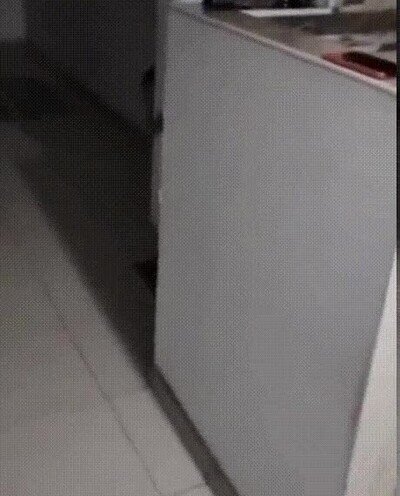 Enlace a ¿Qué harías si lo ves en casa?