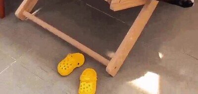 Enlace a Goals en la vida