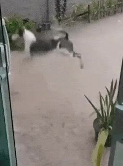 dias,lluvia
