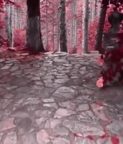 cuento,hadas,paisaje