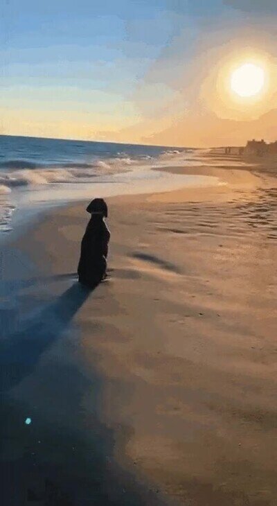 Enlace a Cuando queda solo un día para el final de las vacaciones