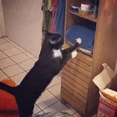 Enlace a ¿Quién ha puesto tantas toallas en mi sitio?