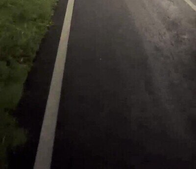 Enlace a Este perro es un Golden Explorer