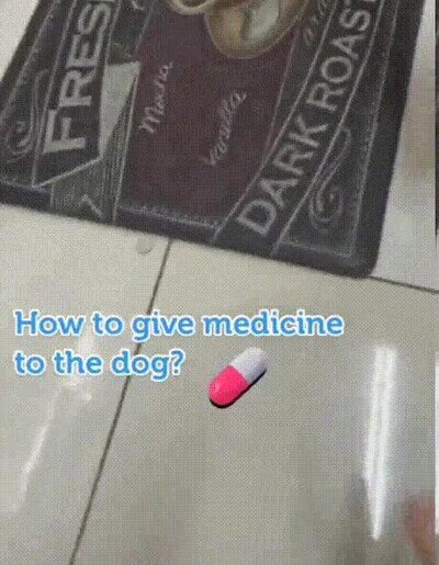 perro,pastillas