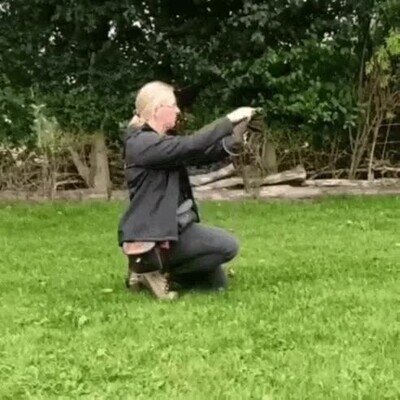 Enlace a No hace ni caso a su maestra