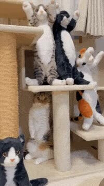 Enlace a Hay un espía entre nosotros