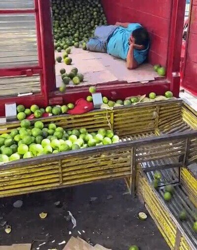 Enlace a Una larga y dura jornada de trabajo