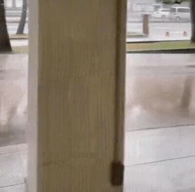 Enlace a Ellos también se esconden de la lluvia cuando es necesario