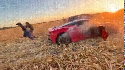 Enlace a Dos candidatos a los Premios Darwin