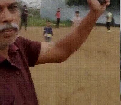 boomerang,vida