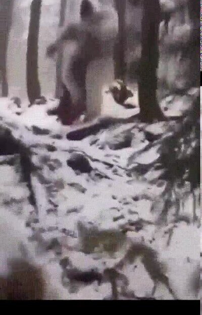 Enlace a No sé Rick... pero este Yeti me parece algo falso