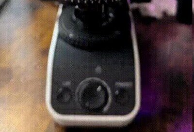 Enlace a Cómo se ve semen en el microscopio