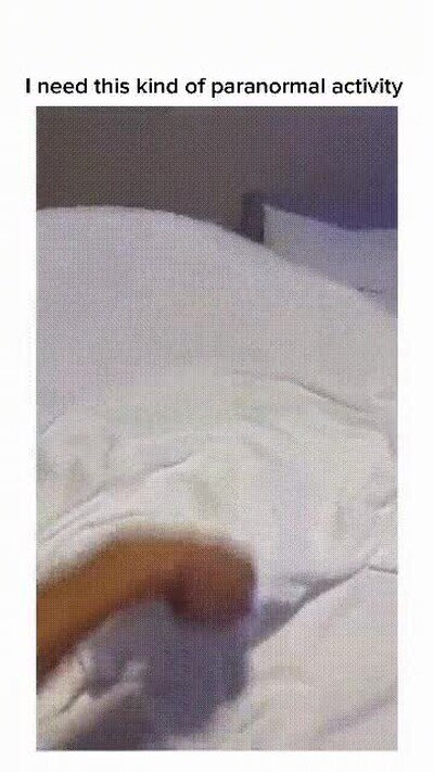 Enlace a Demoniosssss venid estoy aquíii