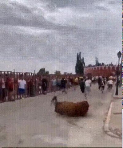 Enlace a Yo solo estaba ahí...