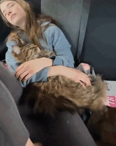 Enlace a Lo más adorable que verás en todo el día