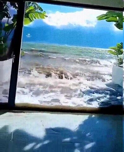 Enlace a Un escenario de pesadilla