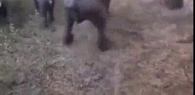 Enlace a Formación defensiva para proteger a los peques
