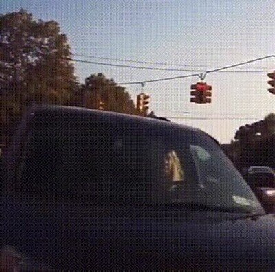 Enlace a ¿Todavía no tienes una dashcam?