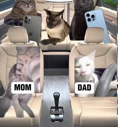 Enlace a Viaje familiar en 2024