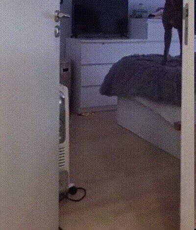 Enlace a Justo en la mejor parte del capítulo
