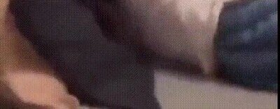 Enlace a Trollea a su novia en la cama y sale mal