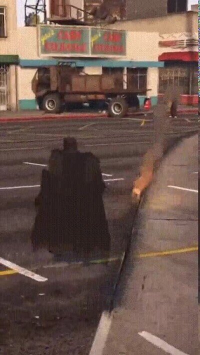 Enlace a Los super poderes de Batman
