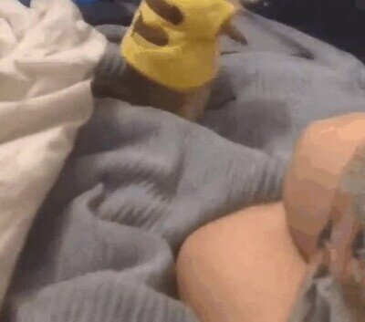 Enlace a Pikachu, te elijo a ti