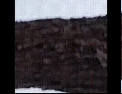 Enlace a ¿Se puede saber qué estoy viendo?