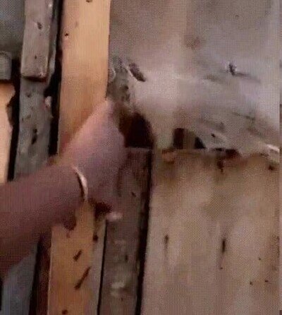 Enlace a Las cosas a veces no son lo que parecen