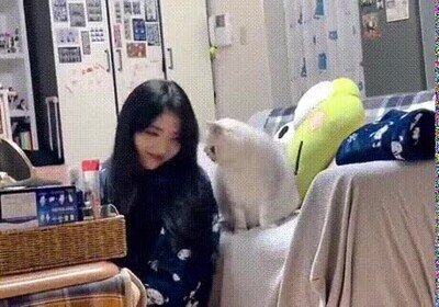 Enlace a Por estos detalles los gatos son lo mejor del mundo
