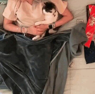 Enlace a La mejor manera de pasar un domingo en casa