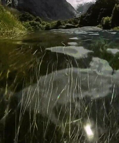 Enlace a El río más claro y cristalino que he visto en la vida