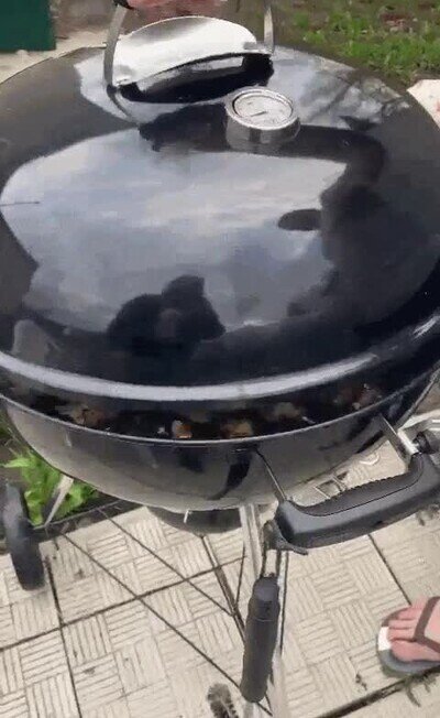 Enlace a ¿Me enseñas cómo va esa barbacoa?