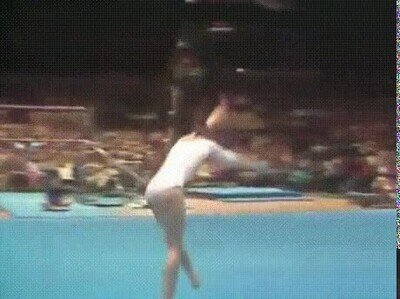 Enlace a La prueba de que la perfección existe