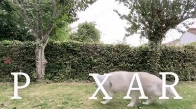 Enlace a Mejor que la animación del logo original