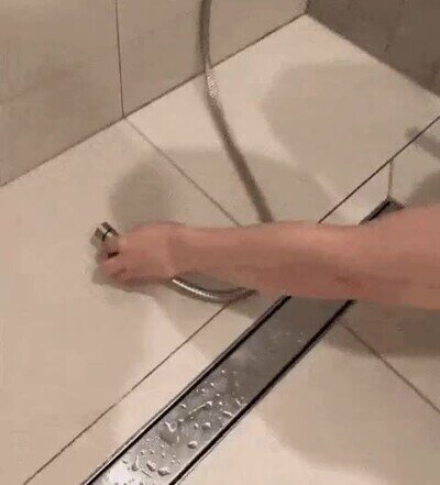 Enlace a La encantadora de duchas