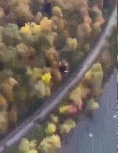 Enlace a Lo he pasado fatal viendo este salto